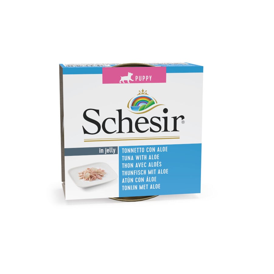 Schesir Puppy at&uacute;n con aloe lata para perros