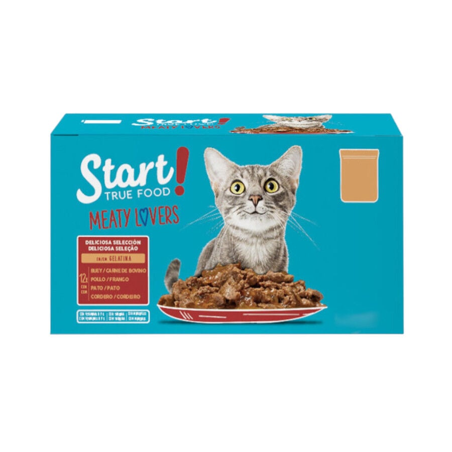 48 sobres x 100 g Start Cat Selecci&oacute;n de carnes sobre con gelatina para gatos, , large Imagen numero 1