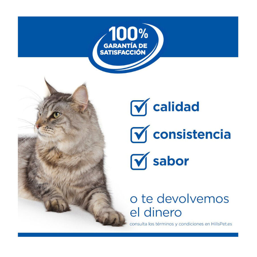 1.5 kg Hill's Prescription Diet i/d Digestive Care Kitten Digestivo Pienso Pollo para gatos, , large indicador imagen numero 9