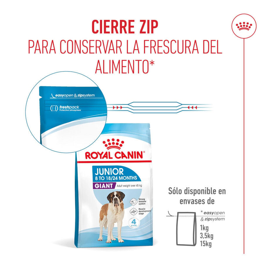 15 kg Royal Canin Junior Giant pienso para perros, , large Imagen numero 10