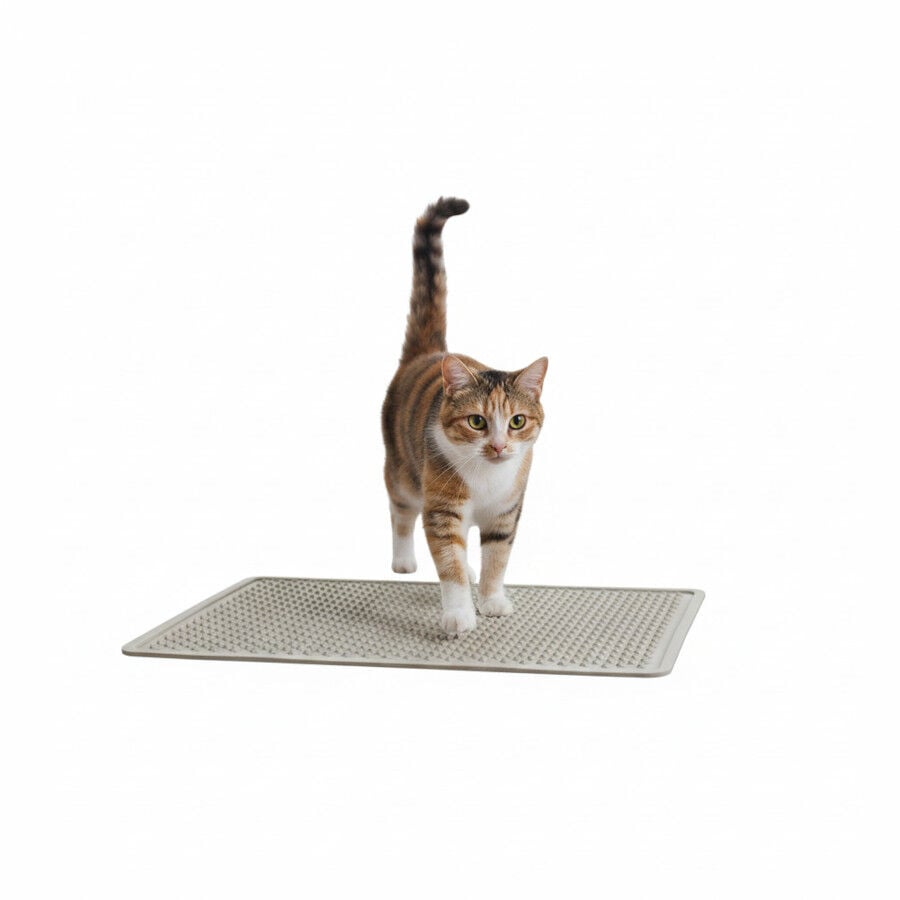 All For Paws Go Fresh Alfombrilla Anti Rastrillo para gatos, , large Imagen numero 3