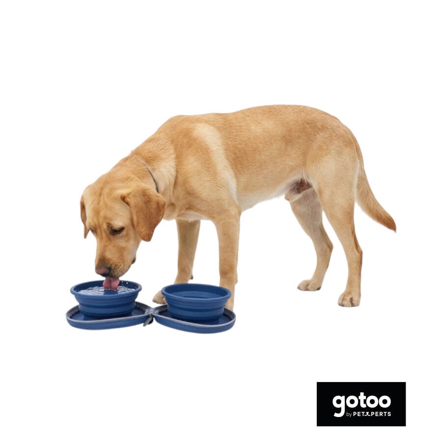 Gotoo Comedero Port&aacute;til Doble de Silicona Azul para perros, , large indicador imagen numero 7