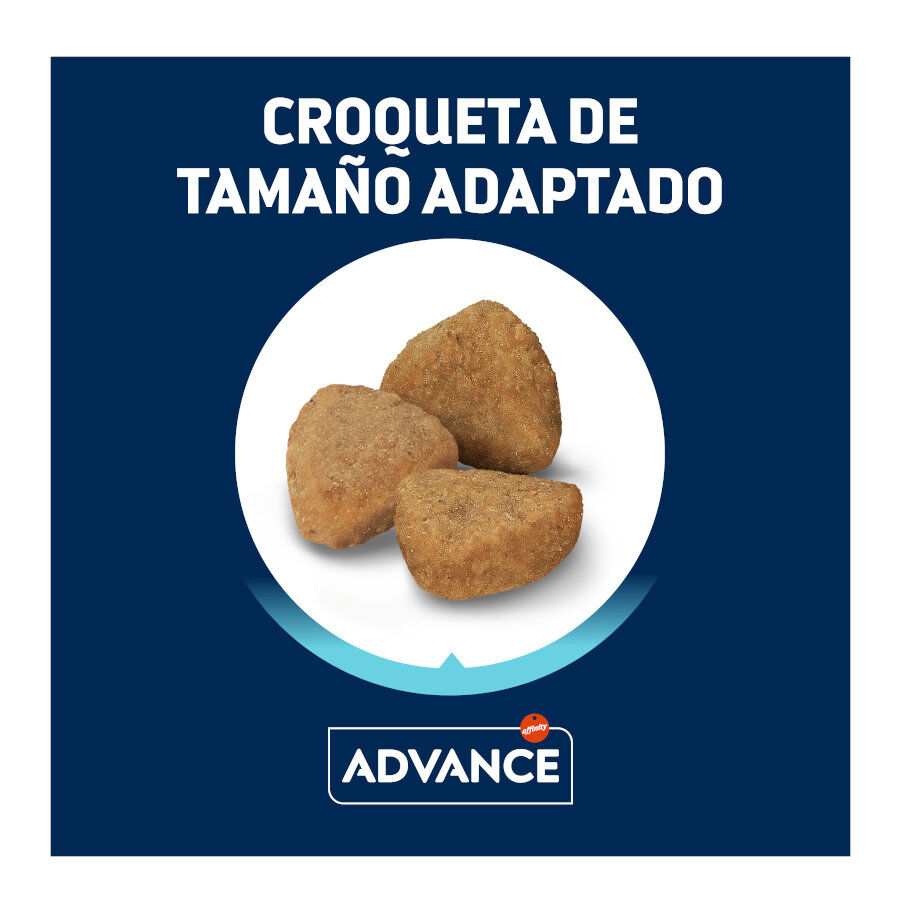 1.5 kg Advance Sterilized +10 pollo y cebada pienso para gatos, , large indicador imagen numero 3