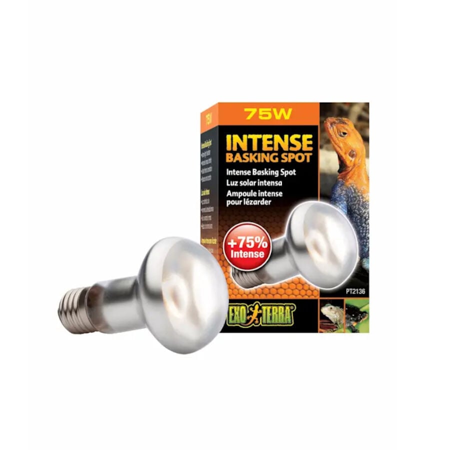 Exo Terra Intense Basking Spot Bombilla de luz solar, , large Imagen numero 1