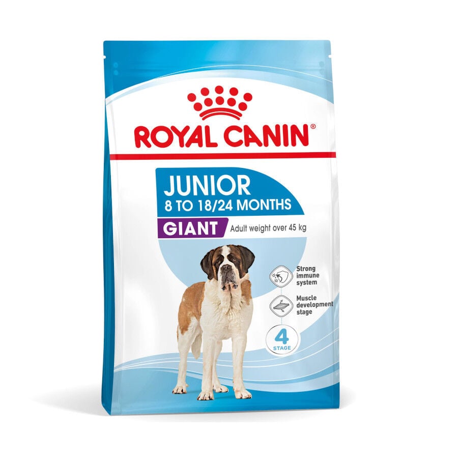 15 kg Royal Canin Junior Giant pienso para perros, , large indicador imagen numero 2