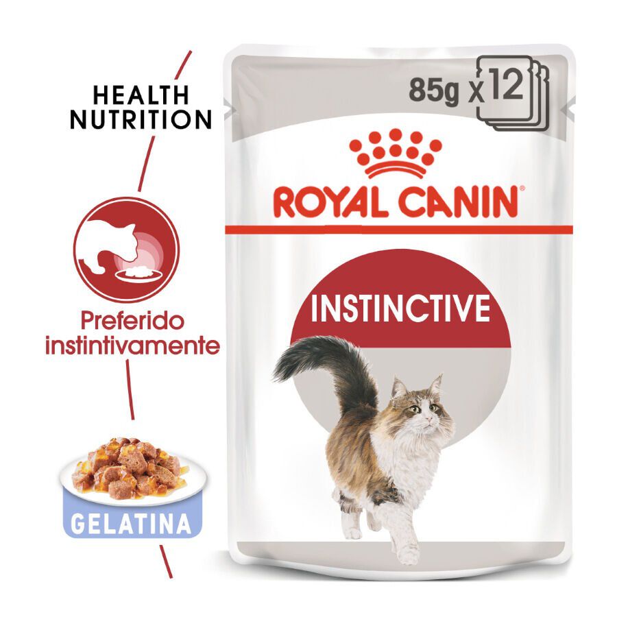 85 g Royal Canin Instinctive gelatina sobres para gatos, , large Imagen numero 2