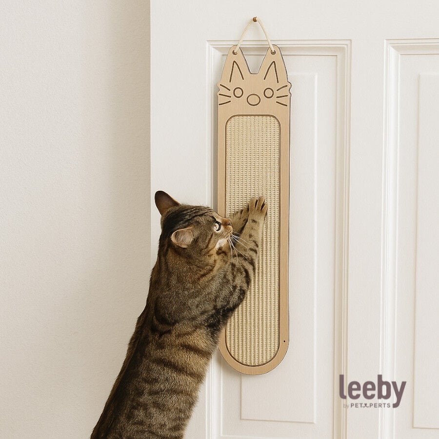Leeby Wilki rascador de pared para gatos