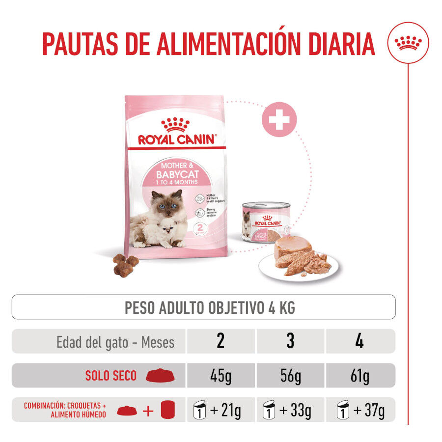 4 kg Royal Canin Mother & Babycat pienso para gatos, , large Imagen numero 8