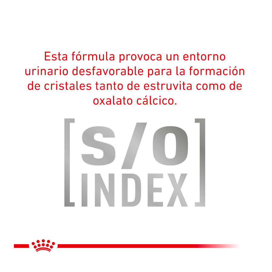 12 sobres x 85 g Royal Canin Adult Veterinary Urinary mousse sobre para gatos, , large Imagen numero 4