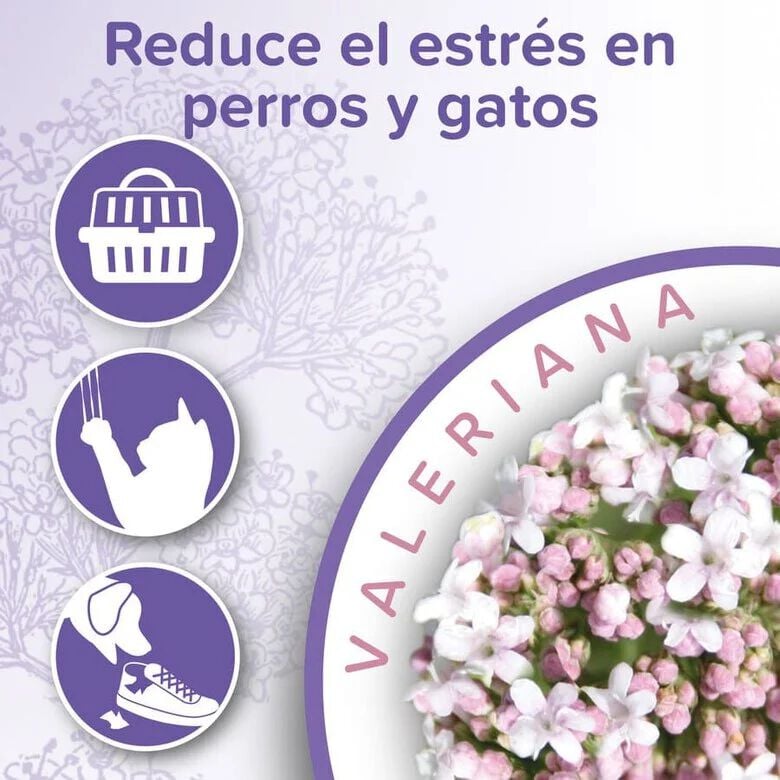 Beaphar Calming Spray Ambiente Relajante para gatos y perros, , large Imagen numero 3
