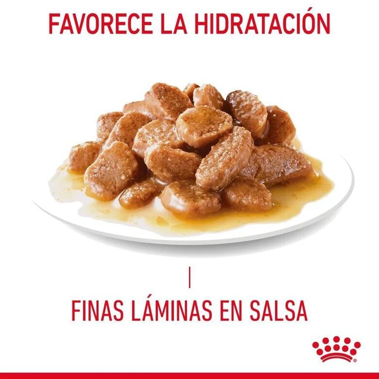85 g Royal Canin Hairball sobre en salsa para gatos, , large indicador imagen numero 3