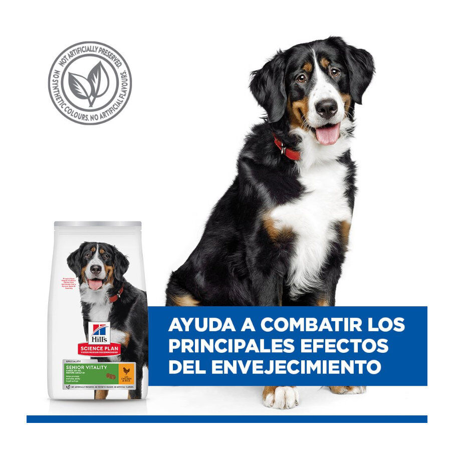 14 kg Hill's Science Plan Youthful vitality Large pienso para perros, , large indicador imagen numero 6