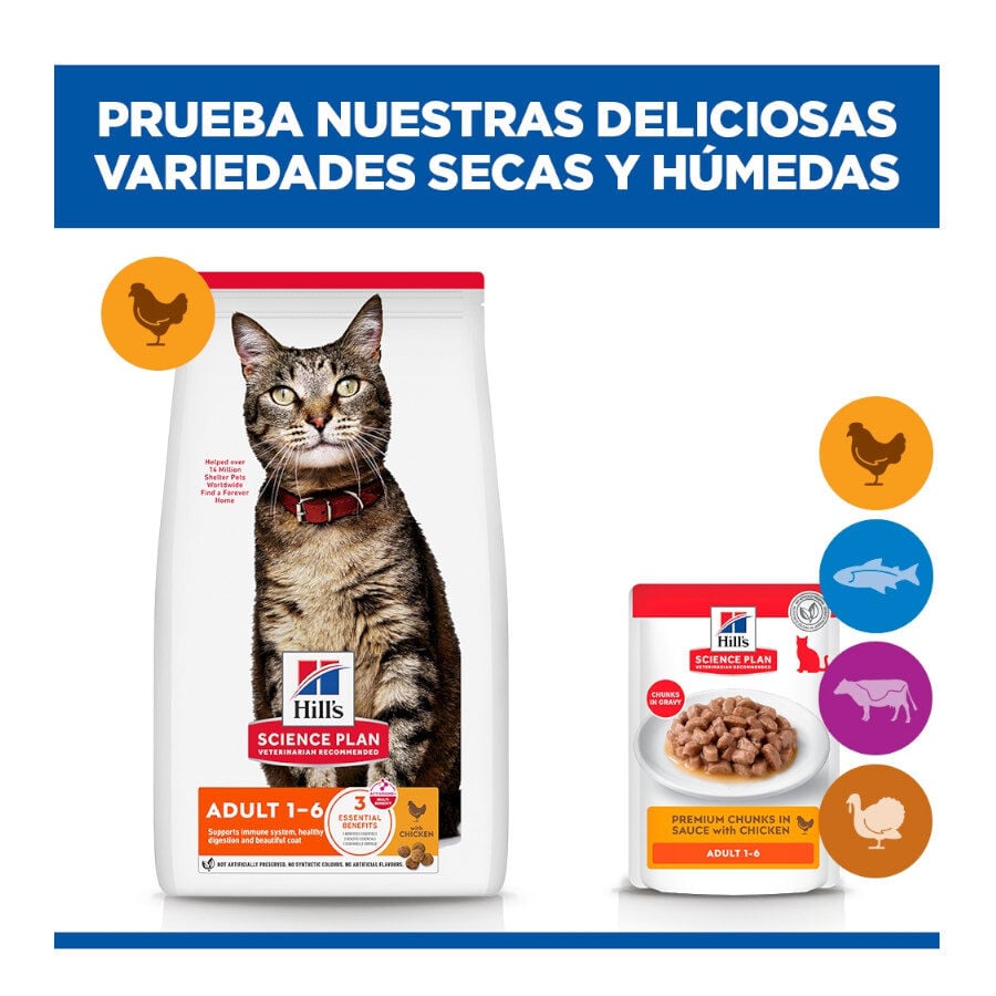 85 g Hill's Science Plan Adult Pollo sobre para gatos, , large indicador imagen numero 10