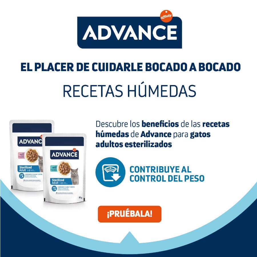 12 sobres x 85 g (9 + 3 &iexcl;gratis!) Advance Adult Sterilized Pavo en salsa sobre para gatos, , large Imagen numero 4