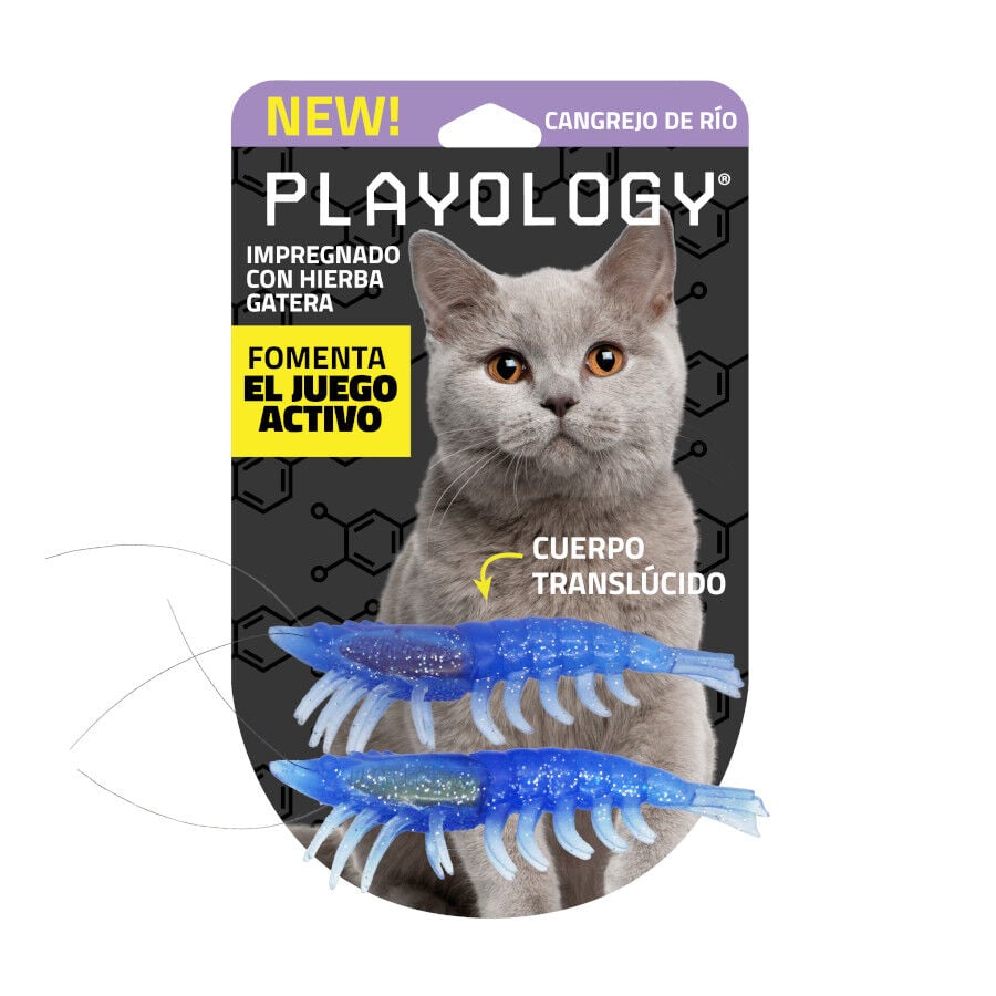 Playology Pack de Lagartos de Goma Realistas para gatos, , large indicador imagen numero 5