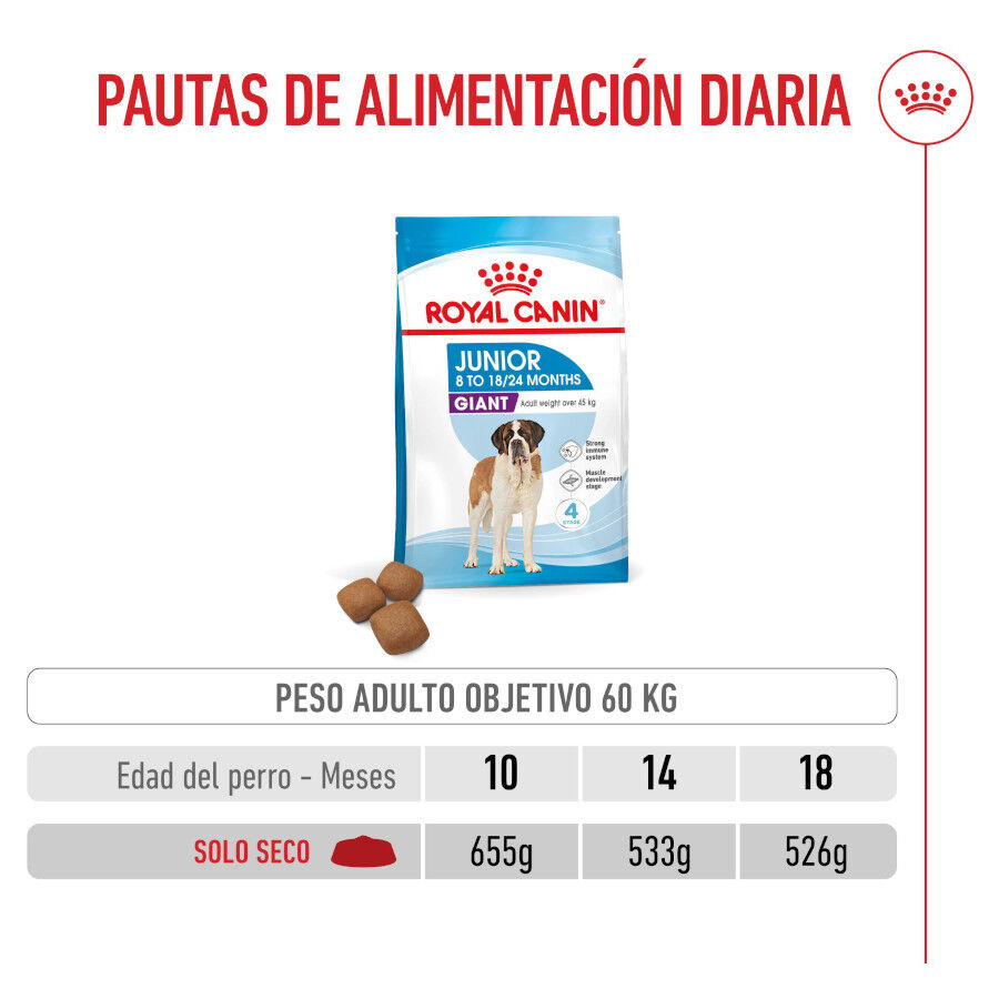 15 kg Royal Canin Junior Giant pienso para perros, , large Imagen numero 7