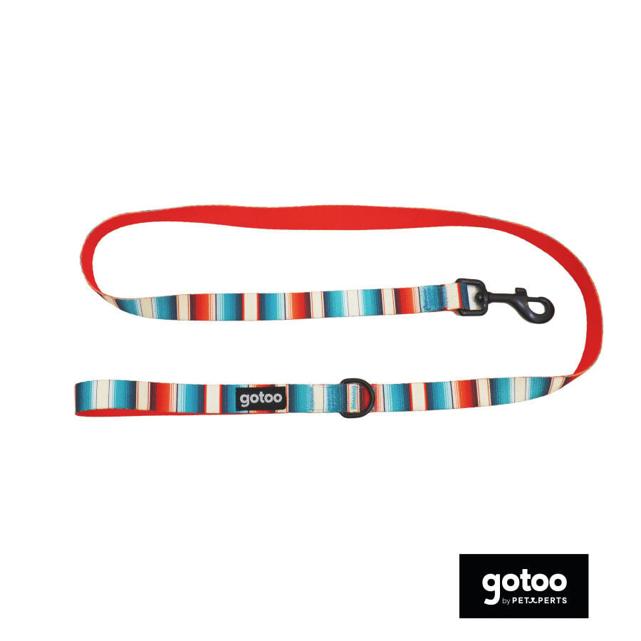 Gotoo Correa multicolor de rayas para perros
