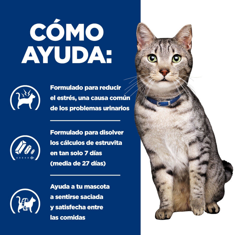 8 kg Hill's Prescription Diet Urinary Stress + Metabolic c/d pienso para gatos, , large indicador imagen numero 4