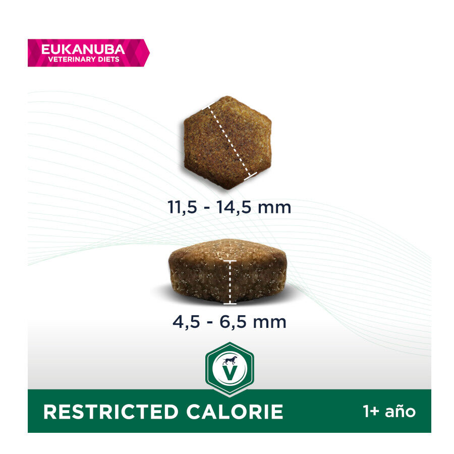 12 kg Eukanuba Veterinary Diets Restricted Calorie pienso para perros, , large Imagen numero 2