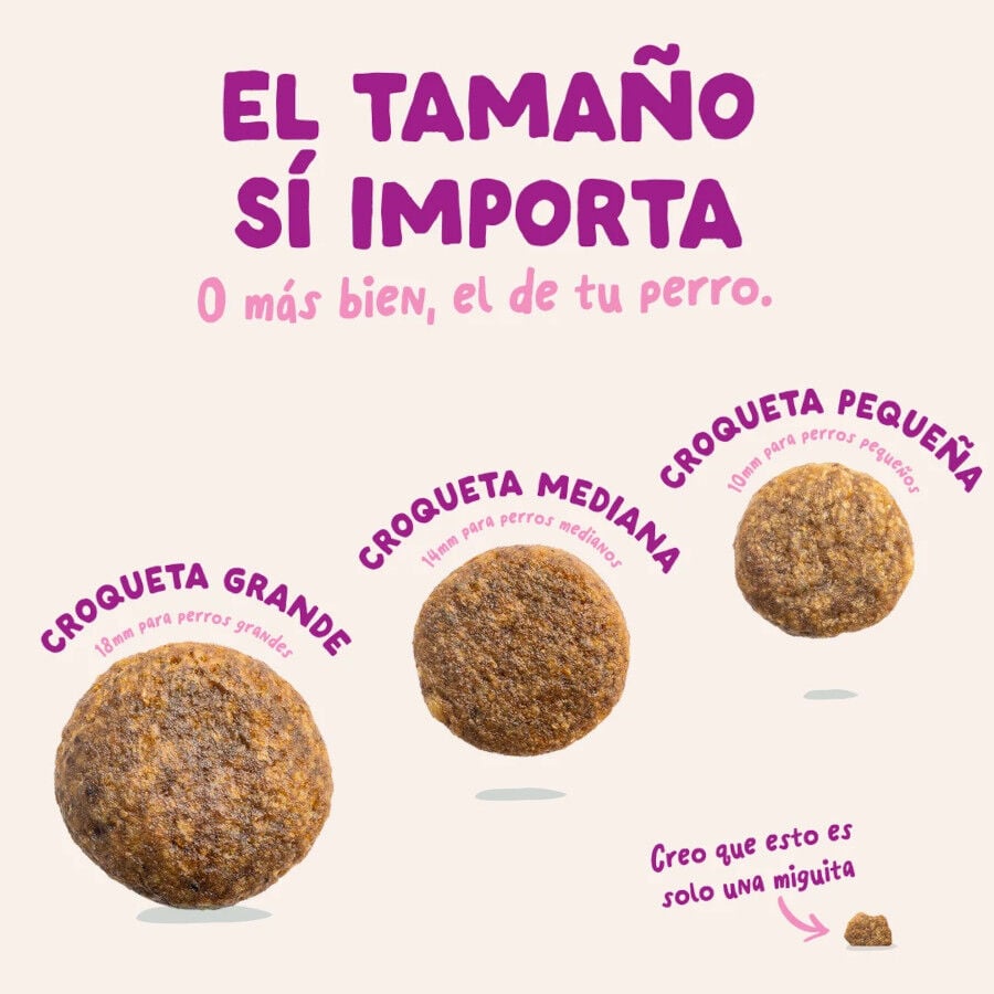 3 kg Edgard & Cooper Pienso Pato y Pollo para cachorros mini, , large Imagen numero 4