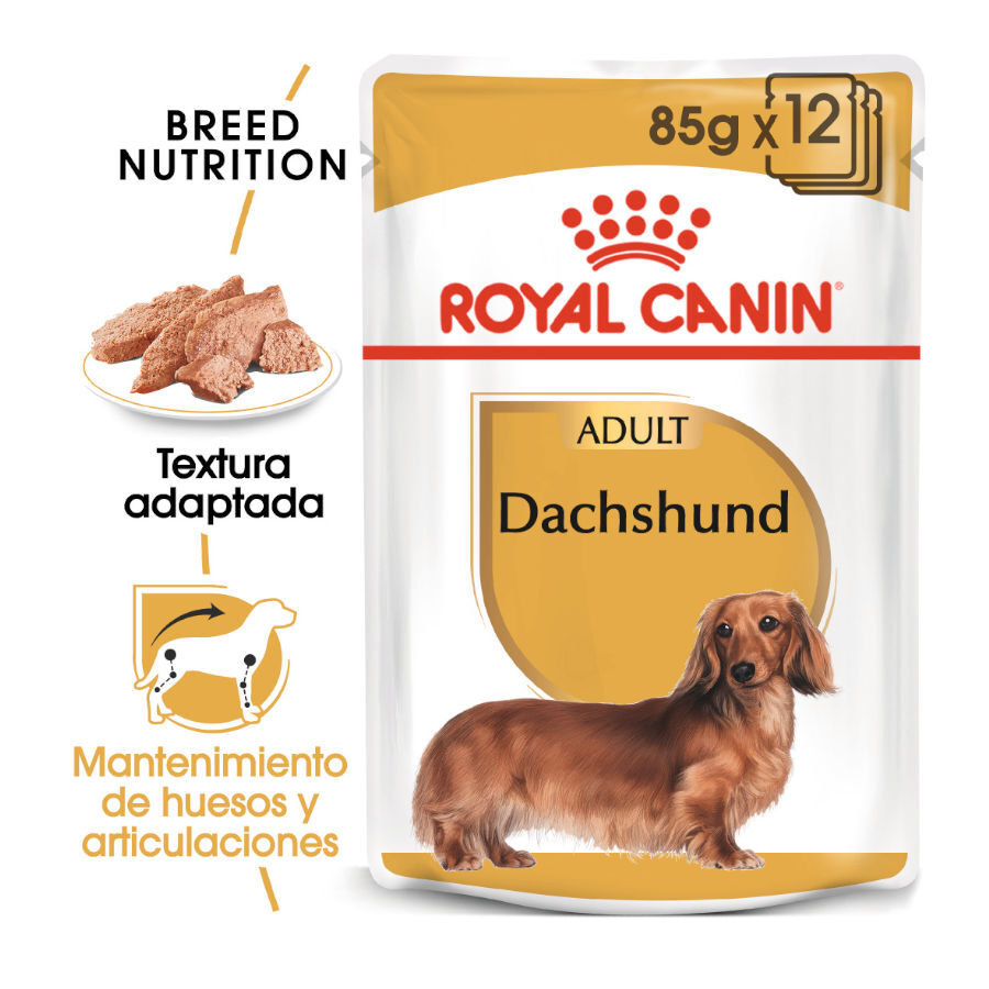 85 g Royal Canin Adult Teckel pat&eacute; en sobre para perros, , large indicador imagen numero 2