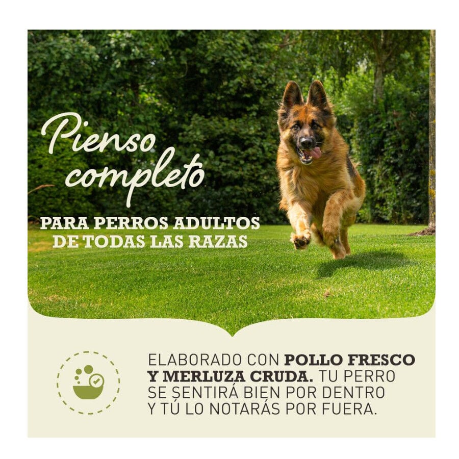 11.4 kg Acana Adult Light y Fit pienso para perros, , large indicador imagen numero 2