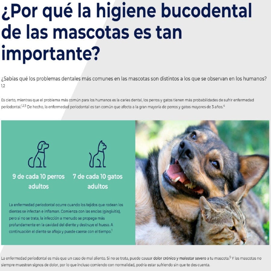 Ecuphar Plaqtiv+ Toallitas Dentales para perros y gatos, , large indicador imagen numero 2