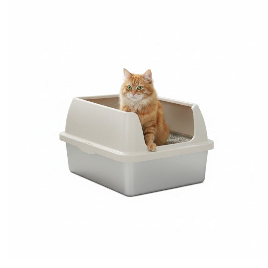 All For Paws Go Fresh Caja Arena Acero Inoxidable para gatos