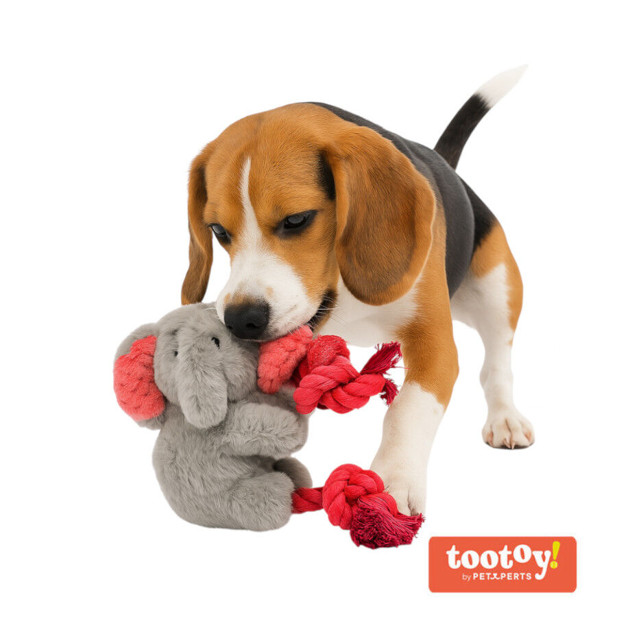 Tootoy! Comfort Climbing Elephant Cuddler peluche para perros, , large indicador imagen numero 2