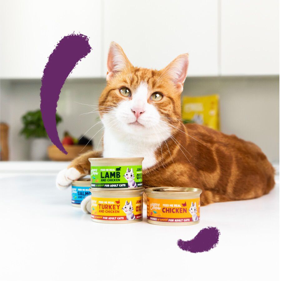 85 g Edgard & Cooper Adult Trocitos de Salm&oacute;n y Pollo en Salsa lata para gatos, , large indicador imagen numero 3