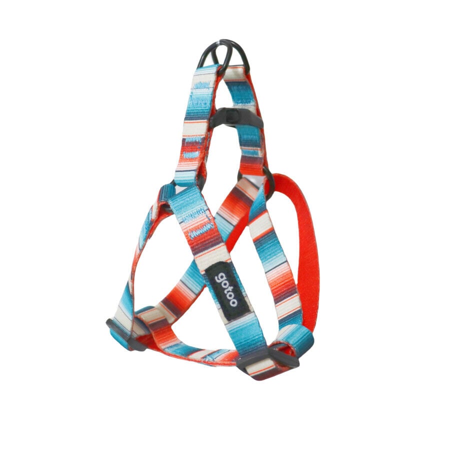 Gotoo Arn&eacute;s estampado de rayas multicolor para perros, , large indicador imagen numero 1