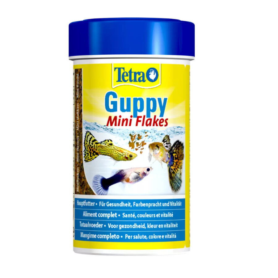 Tetra Guppy Escamas para peces , , large indicador imagen numero 1