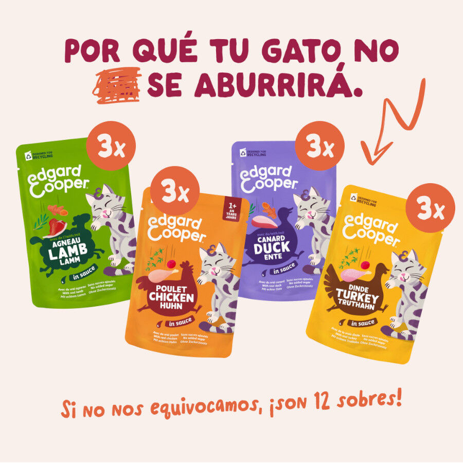 12 x 85 g Edgard & Cooper Festines de la Granja sobre en salsa para gatos, , large indicador imagen numero 2