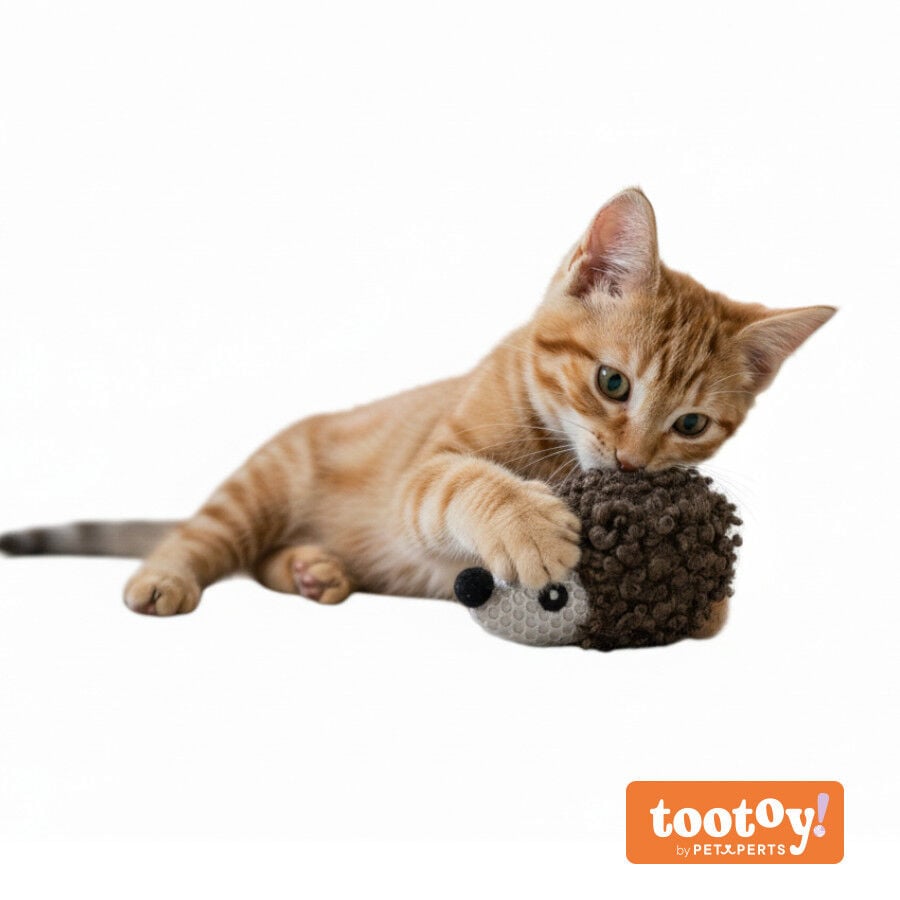 Tootoy! Peluche Suave Herizo para gatos