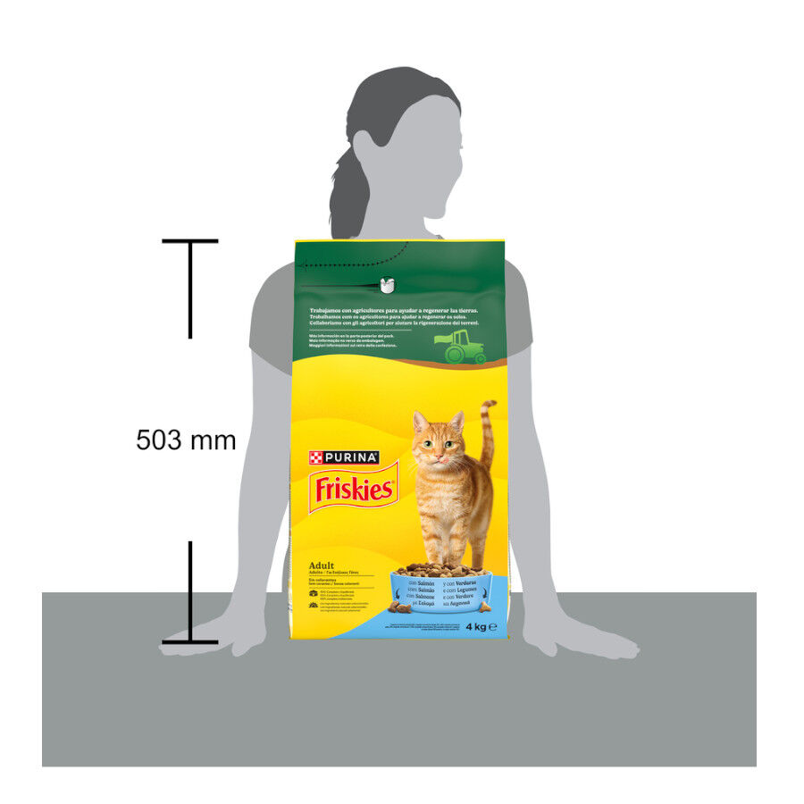 4 kg Purina Friskies Adult Pienso para gatos con salm&oacute;n y verduras, , large Imagen numero 7