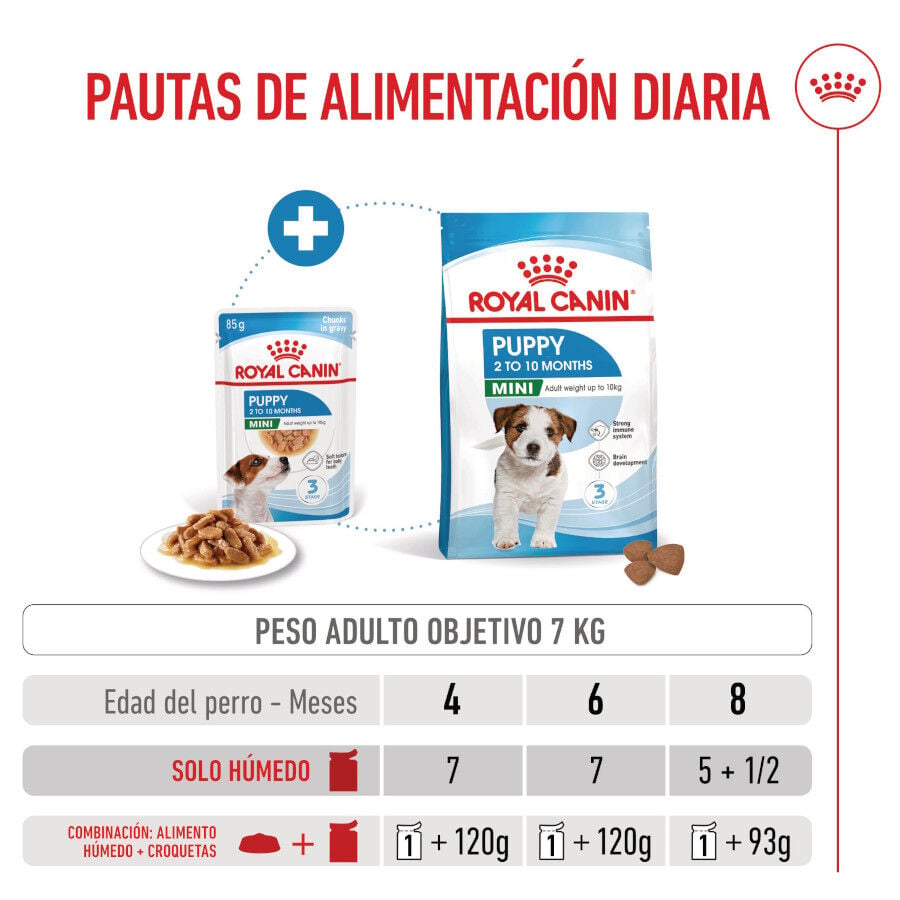 85 g Royal Canin Mini Puppy sobre en salsa, , large indicador imagen numero 7