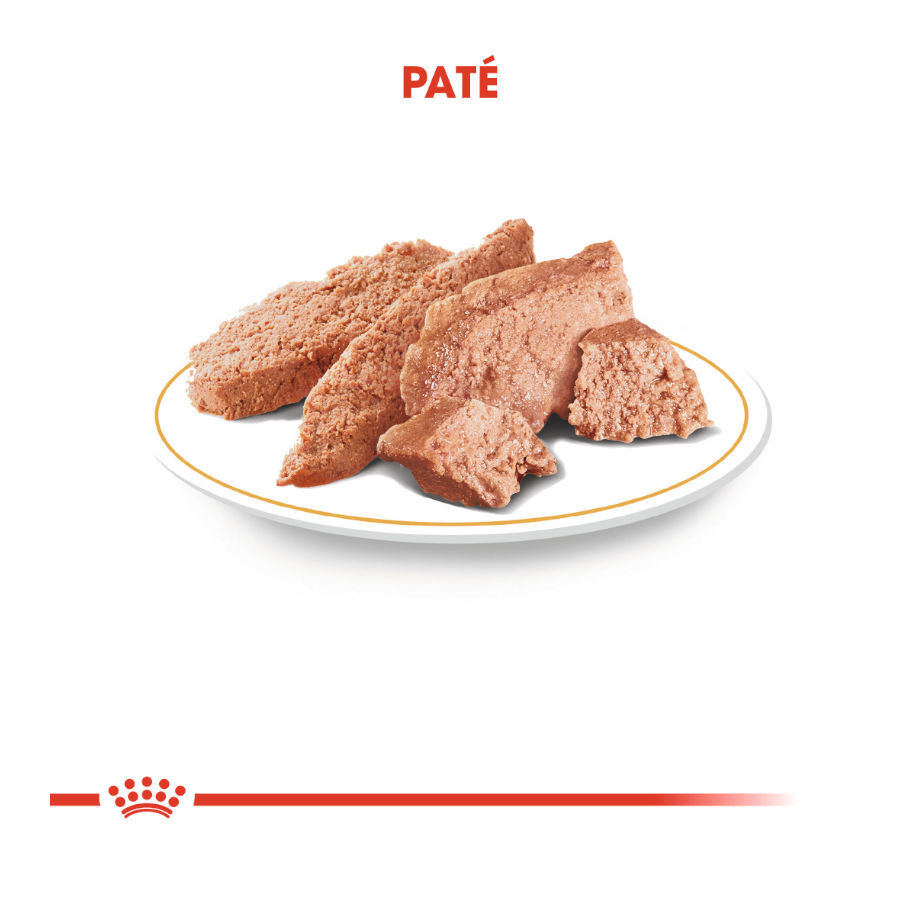 85 g Royal Canin Adult Teckel pat&eacute; en sobre para perros, , large Imagen numero 5