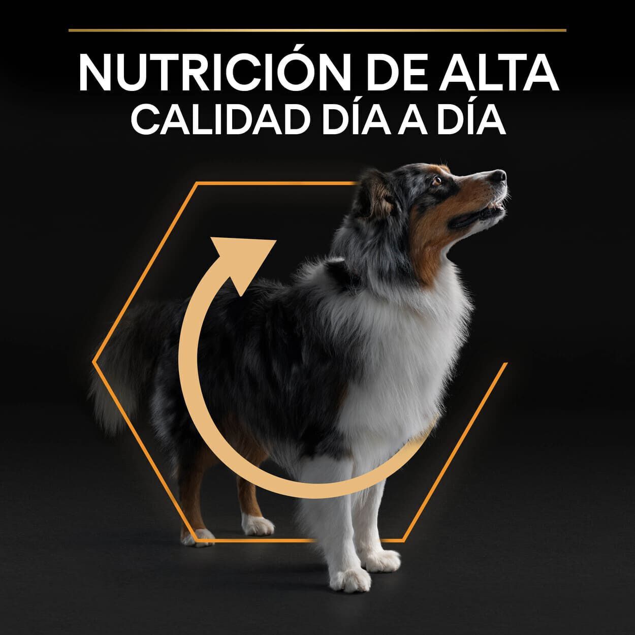 14 kg Pro Plan Medium Adult Pollo pienso para perros, , large indicador imagen numero 8