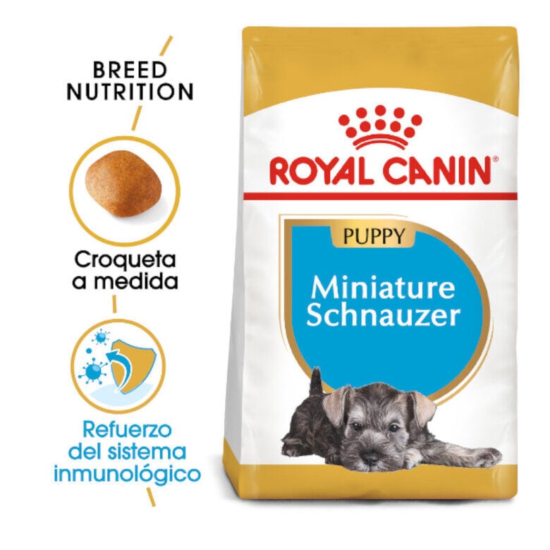1.5 kg Royal Canin Puppy Miniature Schnauzer pienso para perros, , large Imagen numero 1