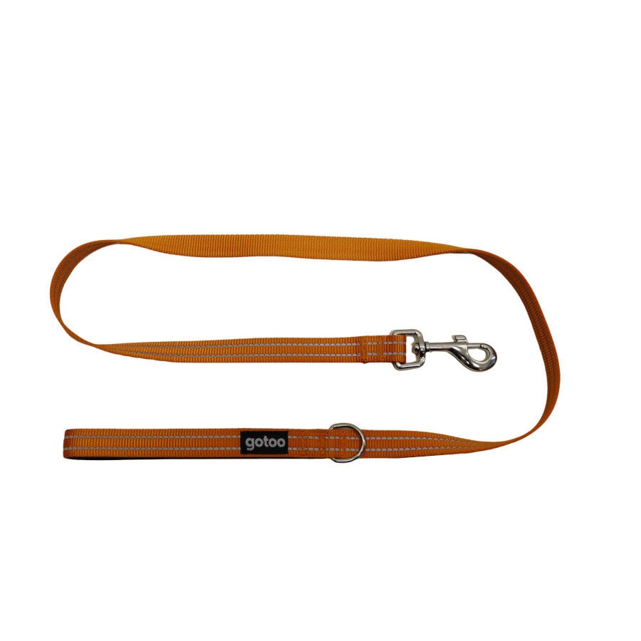 Gotoo Correa de nylon reflectante naranja para perros, , large indicador imagen numero 1