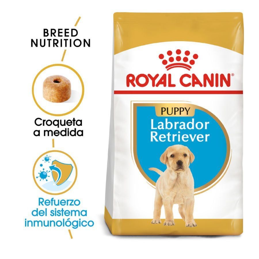12 kg Royal Canin Puppy Labrador Retriever pienso para perros, , large Imagen numero 2