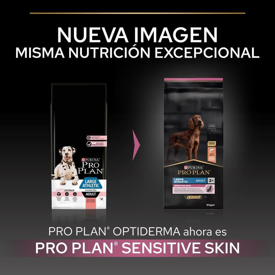 14 kg Pro Plan Large Athletic Adult Salm&oacute;n piel sensible pienso para perros, , large indicador imagen numero 2