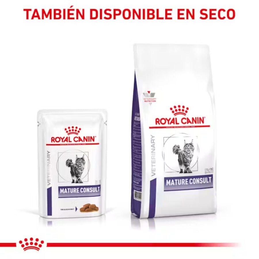 12 sobres x 85 g Royal Canin Mature Consult L&aacute;minas en Salsa Sobre para gatos, , large indicador imagen numero 5