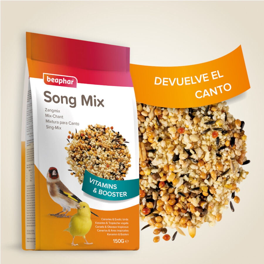 Beaphar Mixtura Estimulante de canto para p&aacute;jaros, , large indicador imagen numero 4