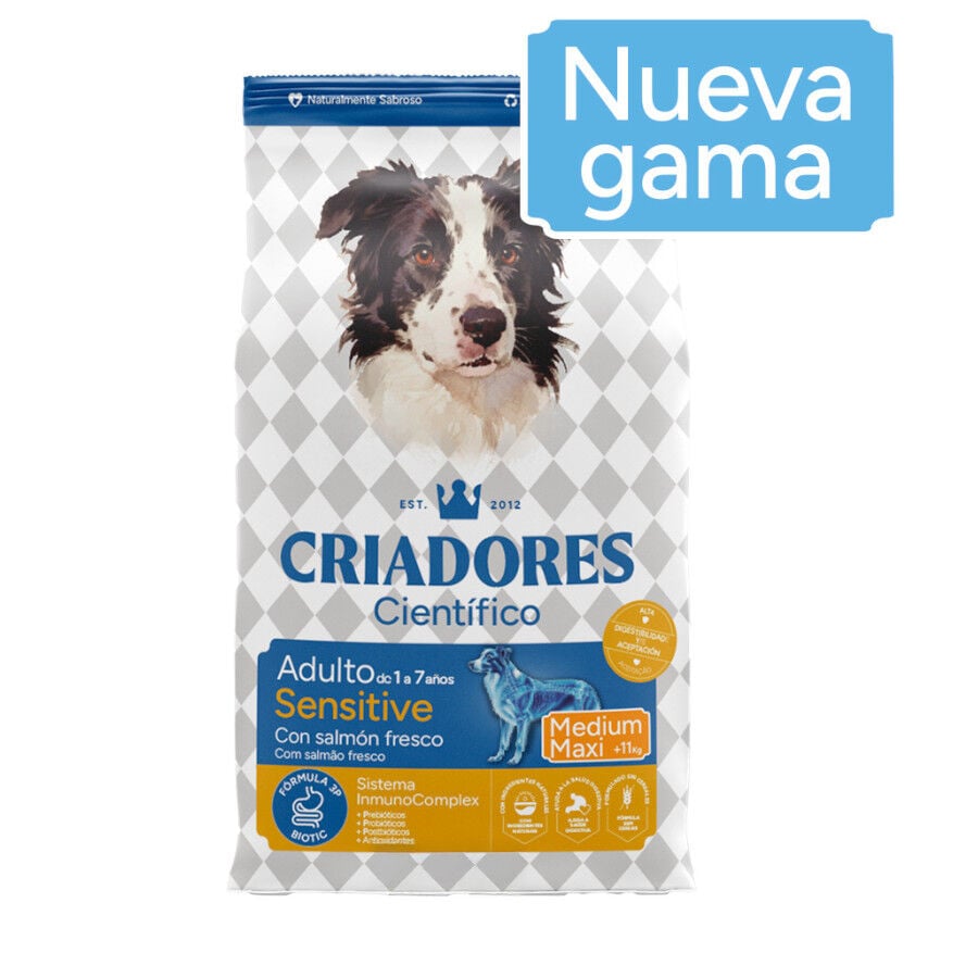 12 kg Criadores Cient&iacute;fico Sensitive Adulto Medium-Maxi Pienso Salm&oacute;n para perros, , large Imagen numero 2