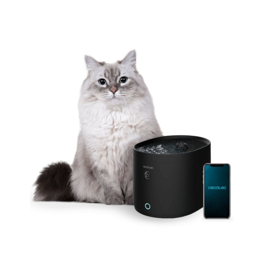 Cecotec Pumba 2500 Refresh Smart Fuente Bebedero Autom&aacute;tico para gatos, , large indicador imagen numero 2