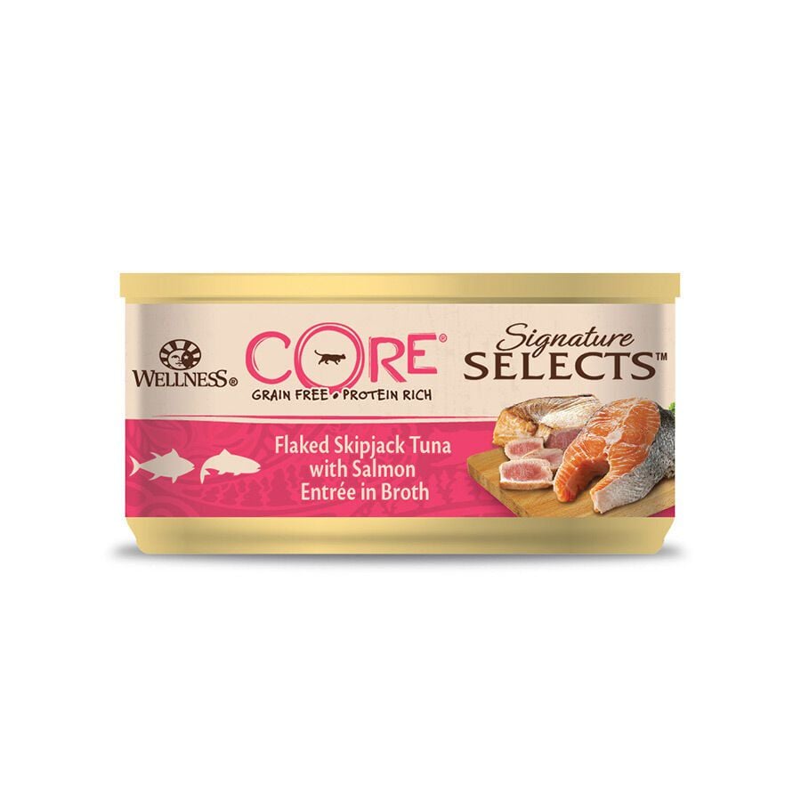 79 g Wellness Core Flaked Salm&oacute;n lata para gatos, , large indicador imagen numero 2
