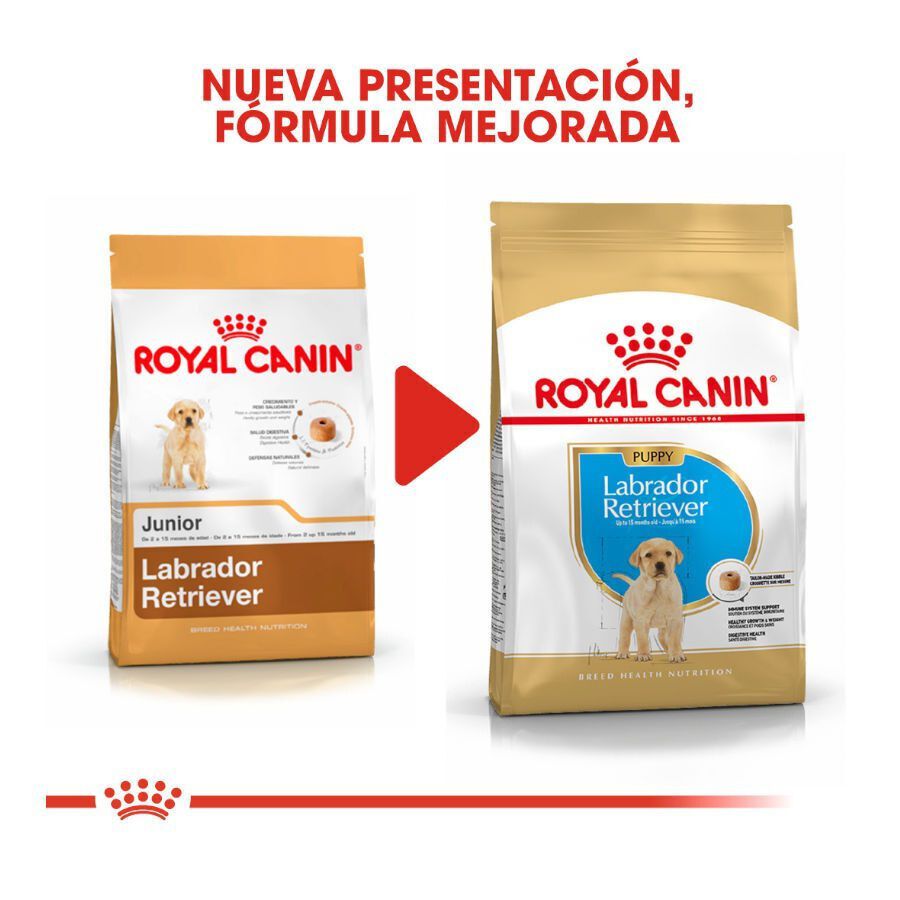 12 kg Royal Canin Puppy Labrador Retriever pienso para perros, , large Imagen numero 3