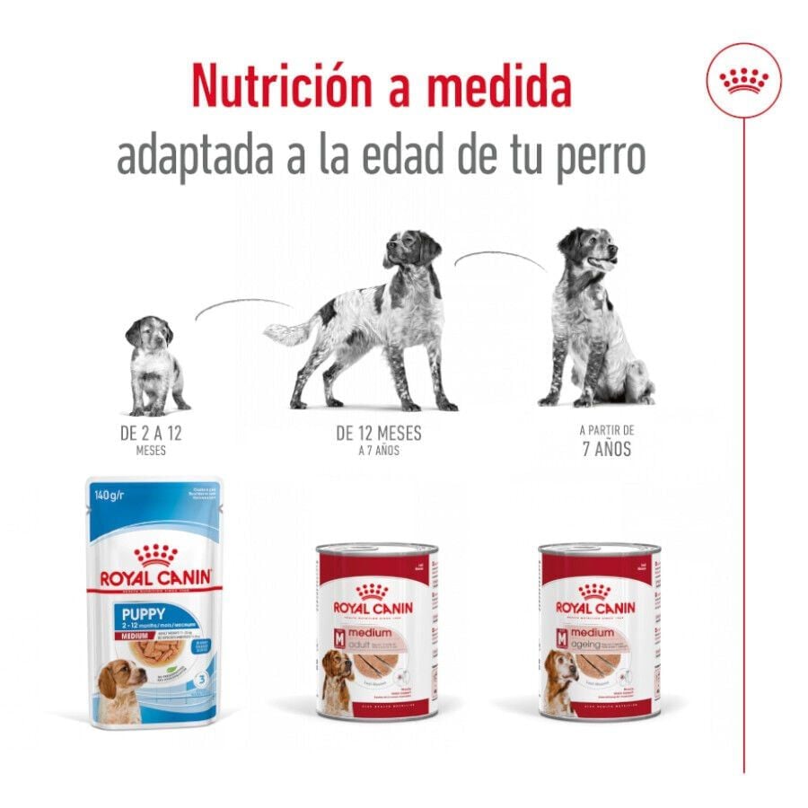 410 g Royal Canin Medium 7+ Ageing lata para perros&nbsp;senior, , large indicador imagen numero 5