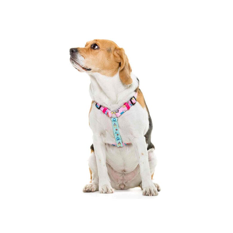 Dukier Cl&aacute;sico Arn&eacute;s Estampado Princesas para perros, , large indicador imagen numero 2